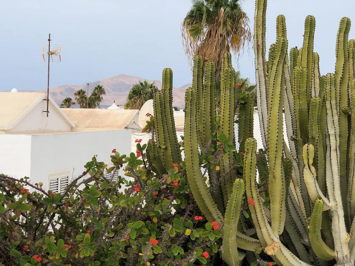 Villa Mare Bella Chao Sea View Private Heated Solar Pool Ac Puerto del Carmen  Puerto del Carmen (Lanzarote)