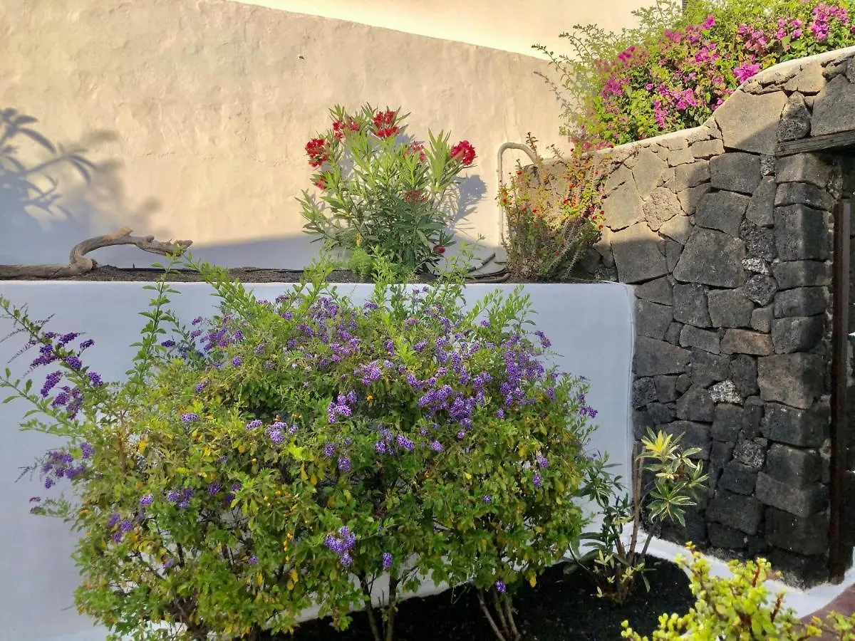 Villa Mare Bella Chao Sea View Private Heated Solar Pool Ac Puerto del Carmen   Puerto del Carmen (Lanzarote)